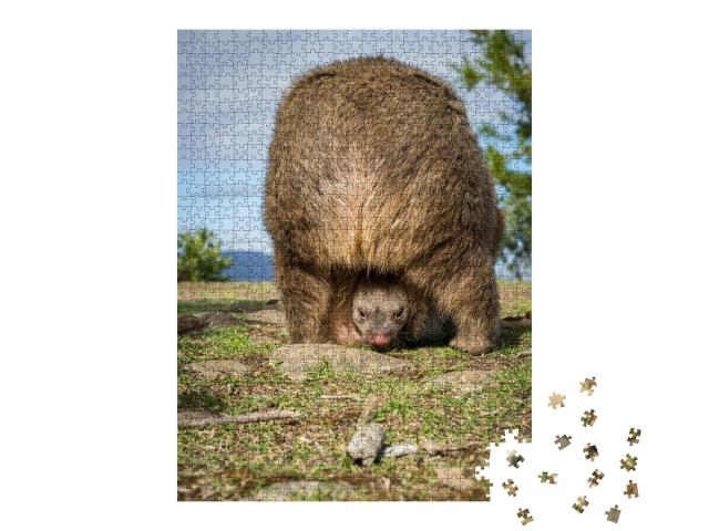 Puzzle de 1000 pièces « Bébé wombat australien dans sa poche »