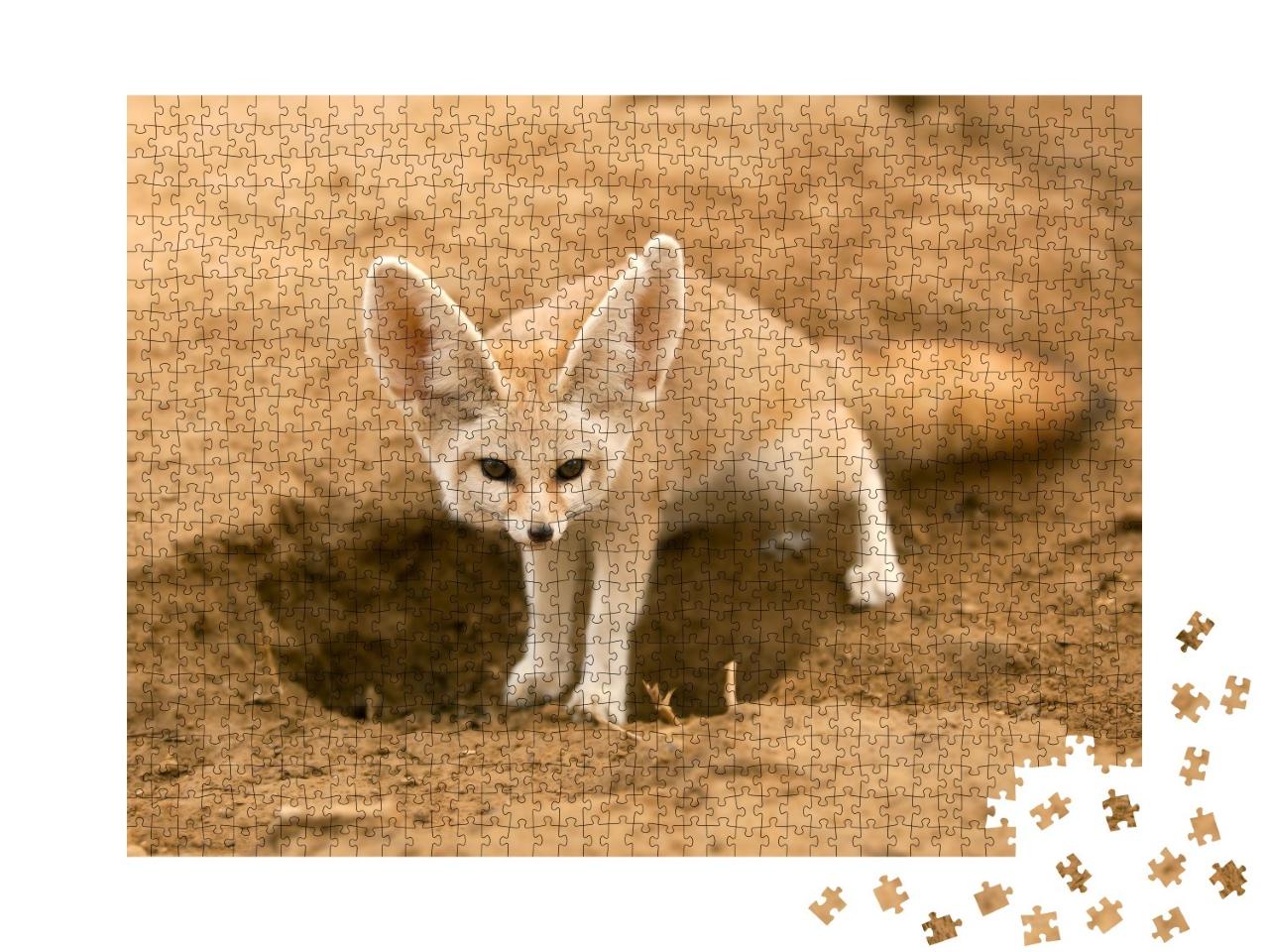Puzzle de 1000 pièces « Le renard fennec sur le qui-vive »