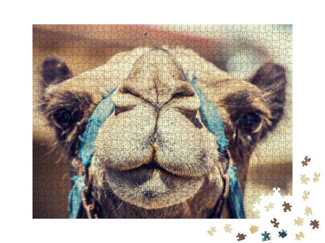 Puzzle de 1000 pièces « Gros plan sur un chameau »