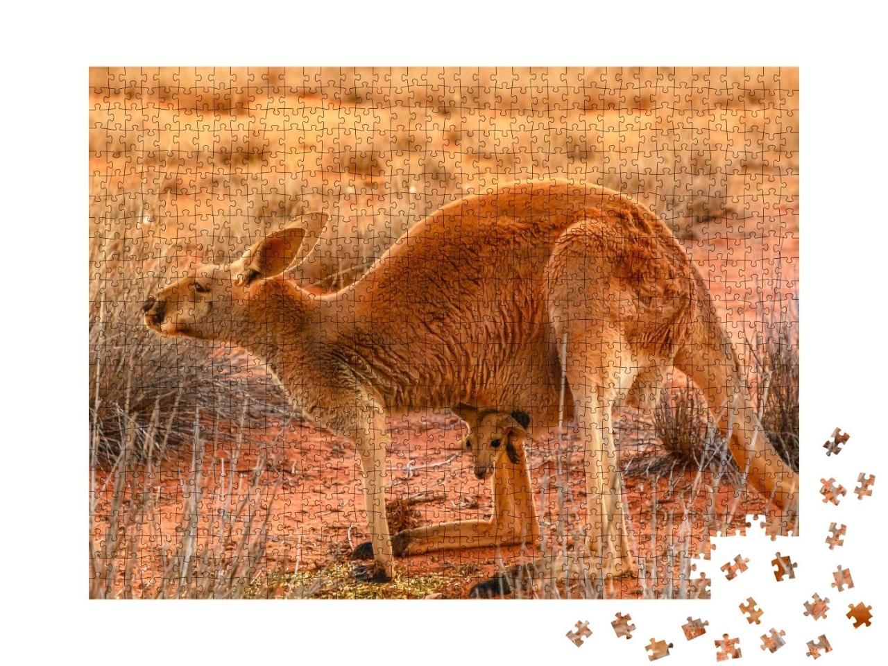 Puzzle de 1000 pièces « Une mère kangourou et son petit dans le sable rouge de l'outback du centre de l'Australie »