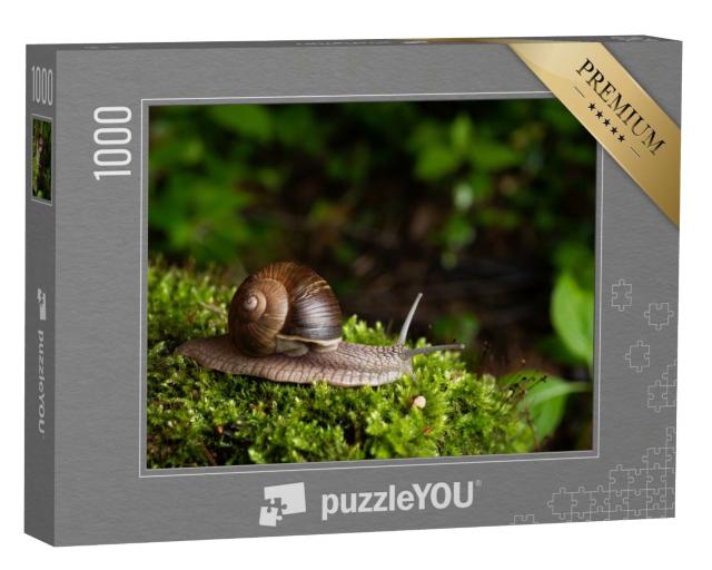 Puzzle de 1000 pièces « Escargot dans son habitat naturel »