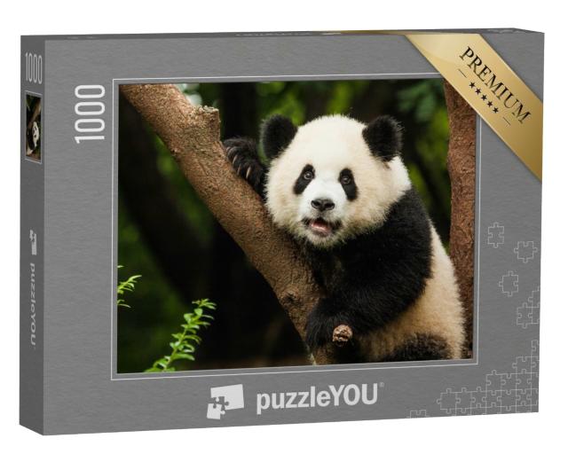 Puzzle de 1000 pièces « Panda dans son habitat naturel »