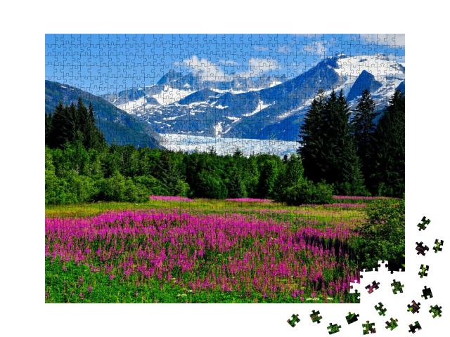 Puzzle de 1000 pièces « Glacier de Mendenhall avec des herbes de feu en fleur, Alaska »