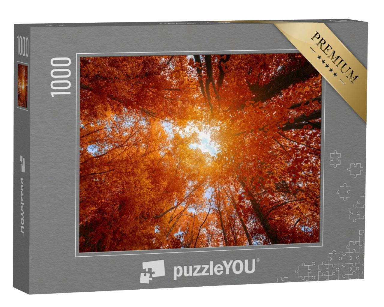 Puzzle de 1000 pièces « Coiffes d'arbres multicolores dans la forêt d'automne »