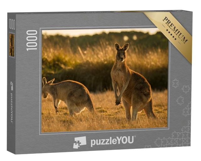 Puzzle de 1000 pièces « Kangourou au coucher du soleil, champ ouvert »