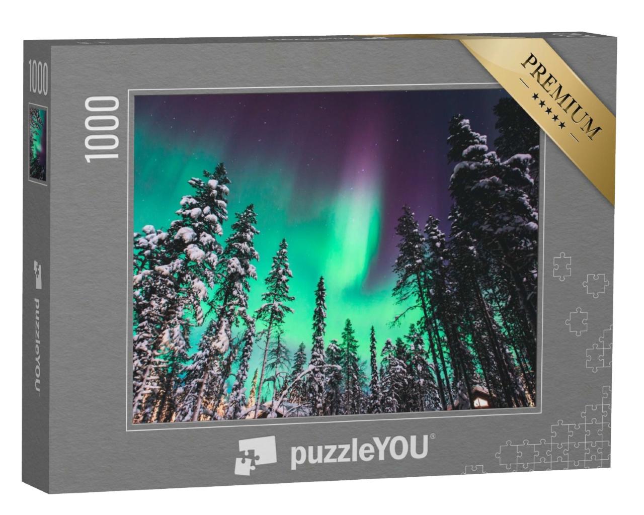 Puzzle de 1000 pièces « Aurora Borealis : les aurores boréales au-dessus de la Norvège »