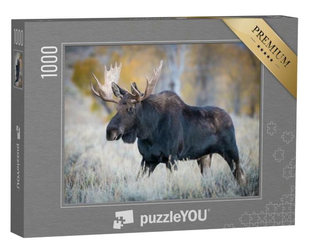 Puzzle de 1000 pièces « Elan debout dans l'herbe sèche, Yellowstone, USA »