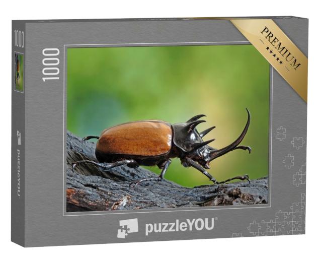 Puzzle de 1000 pièces « Rhinocéros à cinq cornes, également connu sous le nom de scarabée d'Hercule »