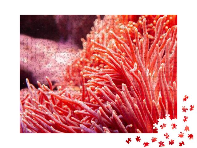 Puzzle de 1000 pièces « Corail rose dans le monde sous-marin »