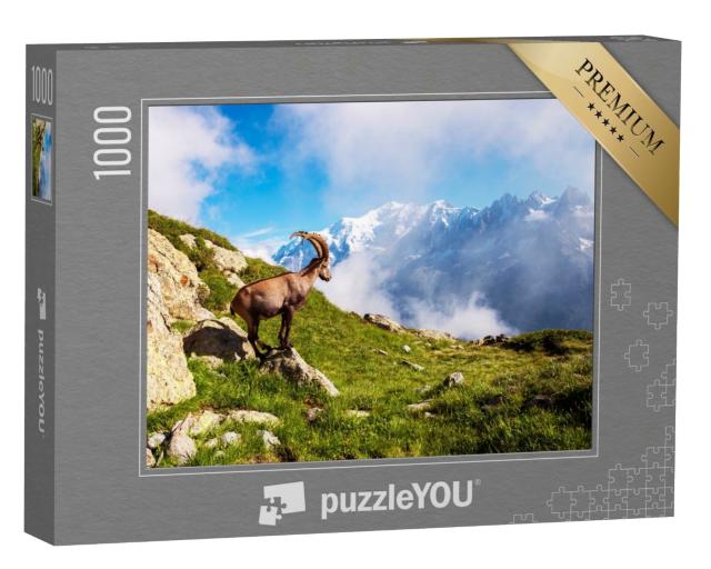 Puzzle de 1000 pièces « Beau paysage de montagne avec une chèvre de montagne dans les Alpes françaises, près du massif du Lac Blanc »