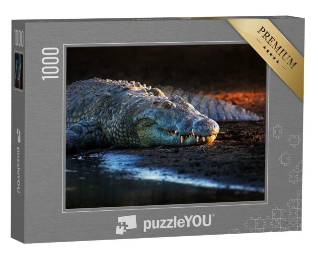 Puzzle de 1000 pièces « Crocodile du Nil dans le parc national Kruger, Afrique du Sud »