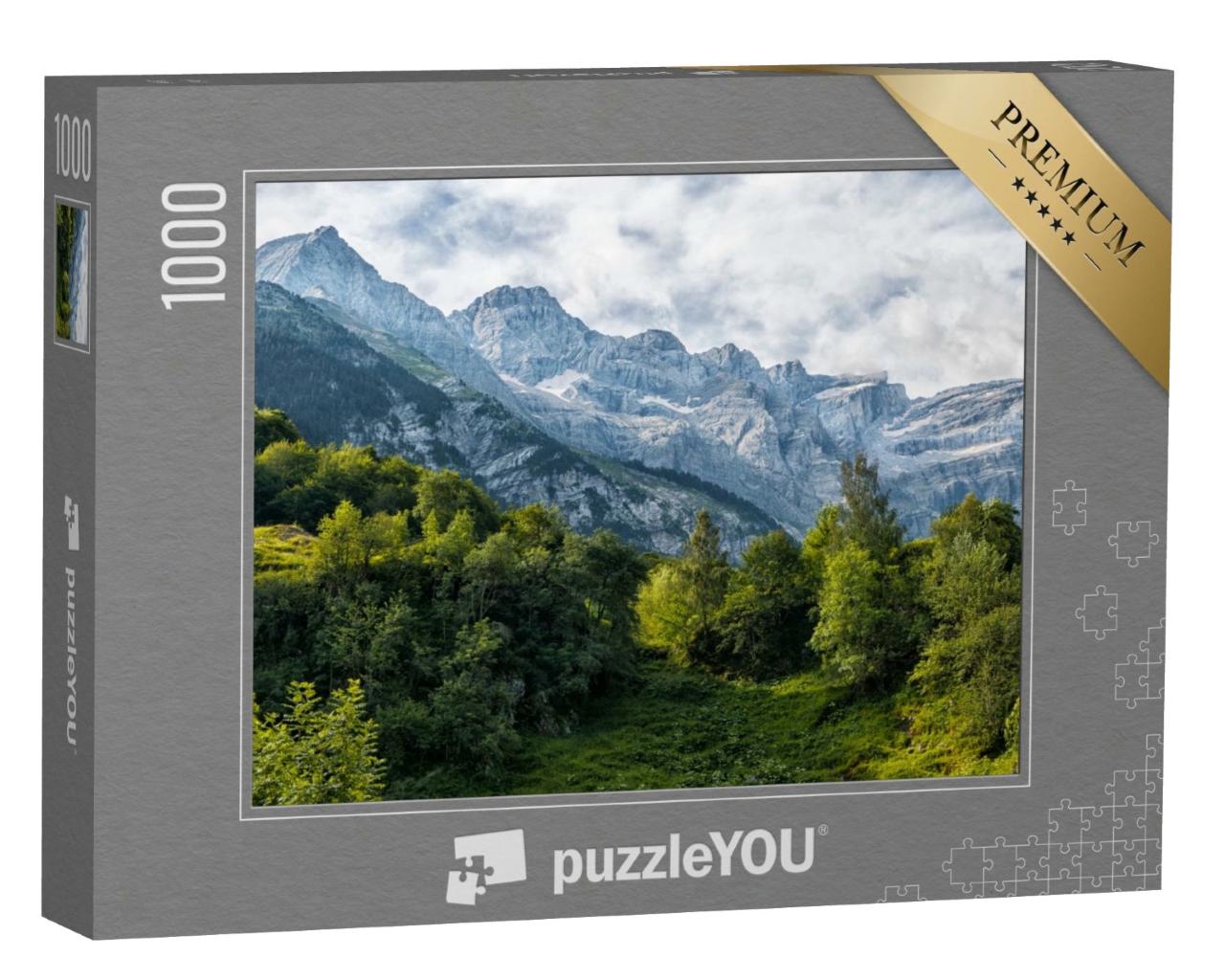 Puzzle de 1000 pièces « Vue des Pyrénées françaises »