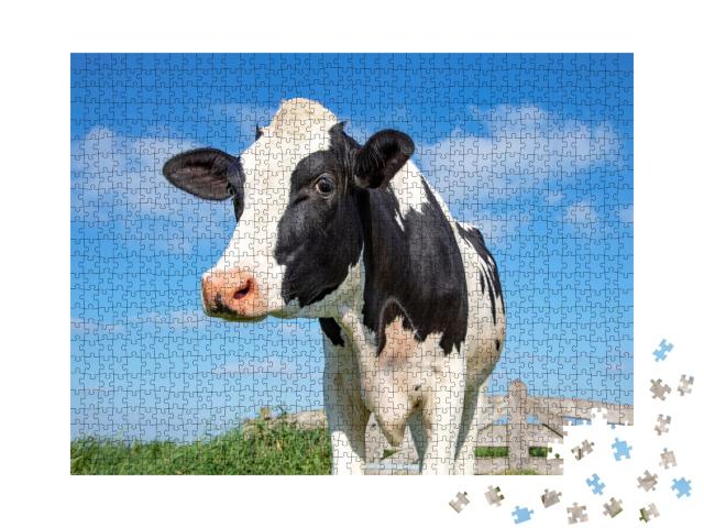 Puzzle de 1000 pièces « Les yeux dans les yeux avec une vache »