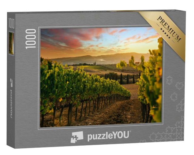 Puzzle de 1000 pièces « Coucher de soleil sur les vignobles »