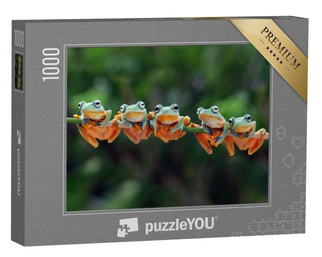 Puzzle de 1000 pièces « De charmantes grenouilles de Java »