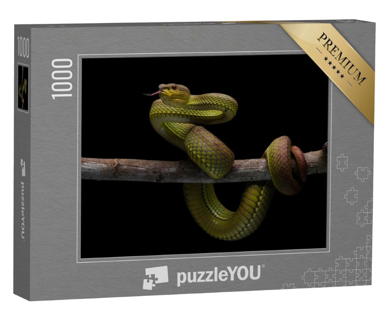 Puzzle de 1000 pièces « Serpent venimeux, reptile endémique de Java »