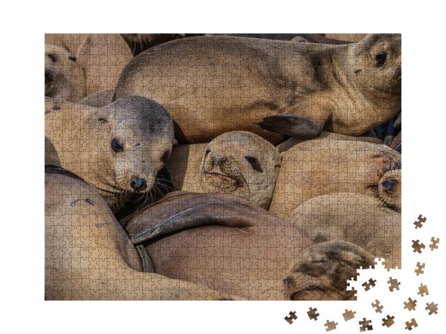 Puzzle de 1000 pièces « Un troupeau serré de phoques endormis »