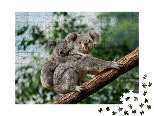Puzzle de 1000 pièces « Un jeune koala se blottit contre le dos de sa mère »