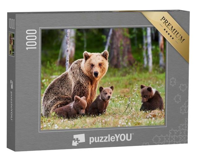 Puzzle de 1000 pièces « Une mère ours brun protège ses petits dans une forêt finlandaise »