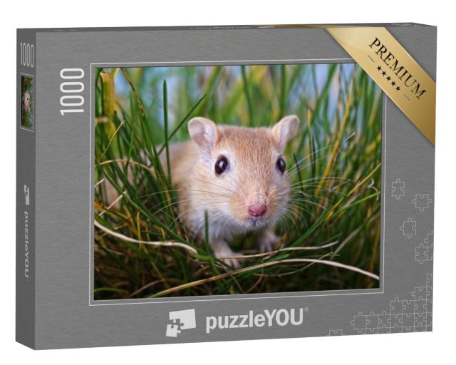 Puzzle de 1000 pièces « Petite gerbille dans l'herbe »