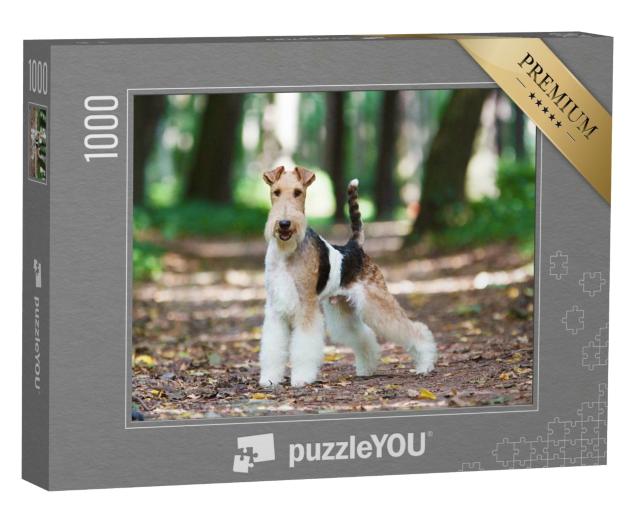 Puzzle de 1000 pièces « Fox-terrier dans un parc en automne »