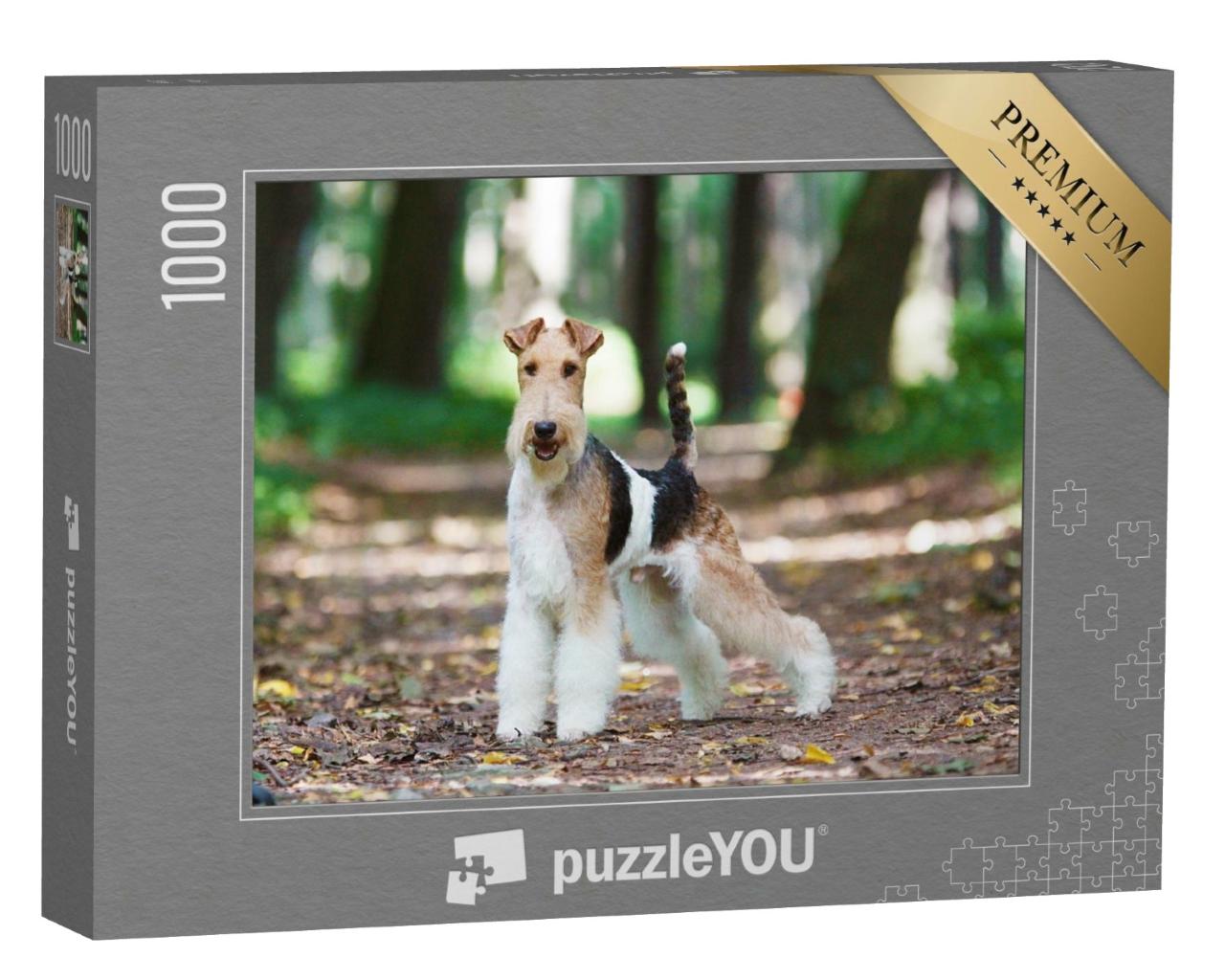 Puzzle de 1000 pièces « Fox-terrier dans un parc en automne »