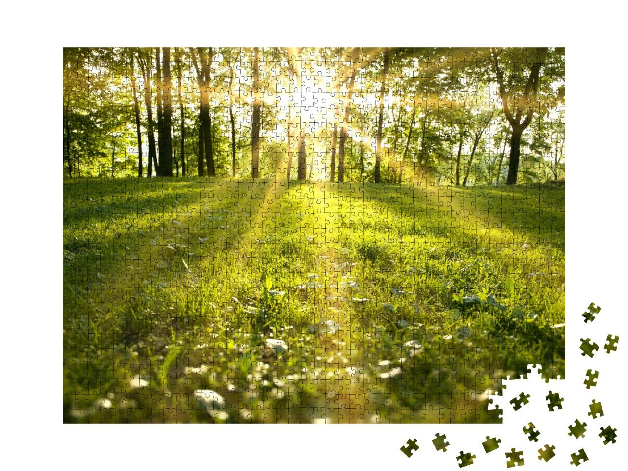 Puzzle de 1000 pièces « Lumière du soleil dans la forêt verte »