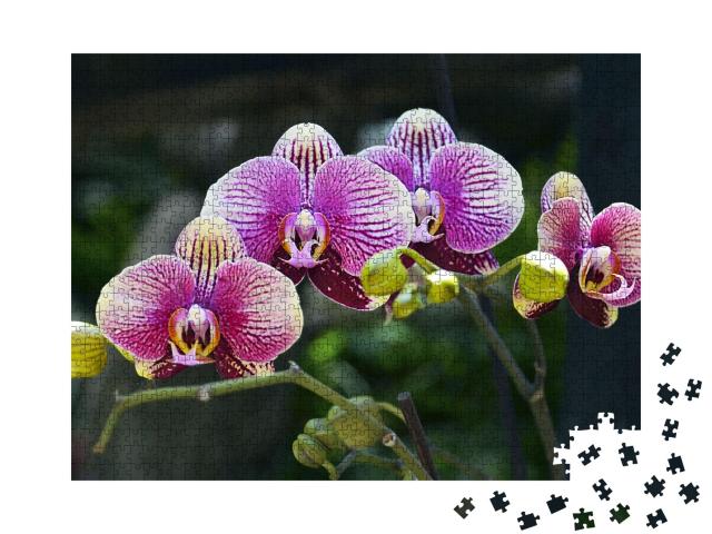 Puzzle de 1000 pièces « Floraison d'orchidées dans un jardin tropical »