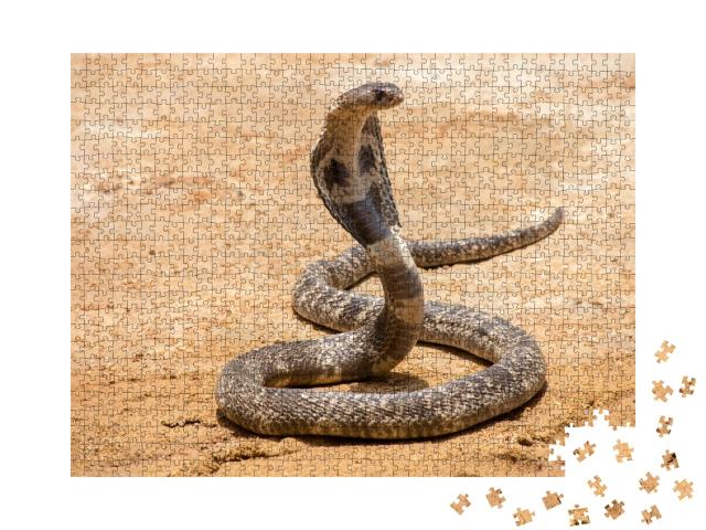 Puzzle de 1000 pièces « Le cobra royal sur le sable »