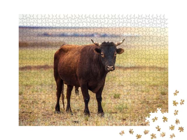 Puzzle de 1000 pièces « Portrait d'un taureau brun dans un champ »