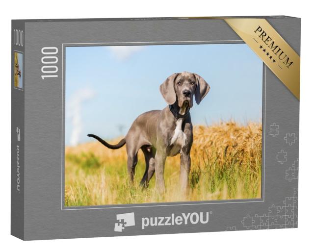 Puzzle de 1000 pièces « Portrait d'un chiot dogue allemand debout sur un chemin de campagne »