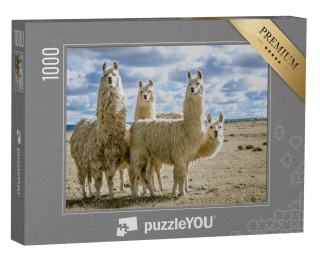 Puzzle de 1000 pièces « Groupe de lamas dans leur habitat naturel »