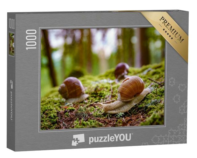 Puzzle de 1000 pièces « Les escargots dans la nature »