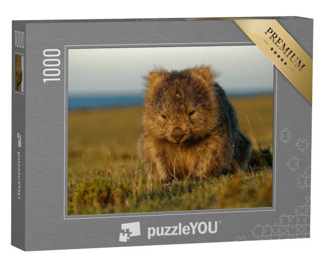 Puzzle de 1000 pièces « Un wombat dans la lumière du soir en Tasmanie, Australie »