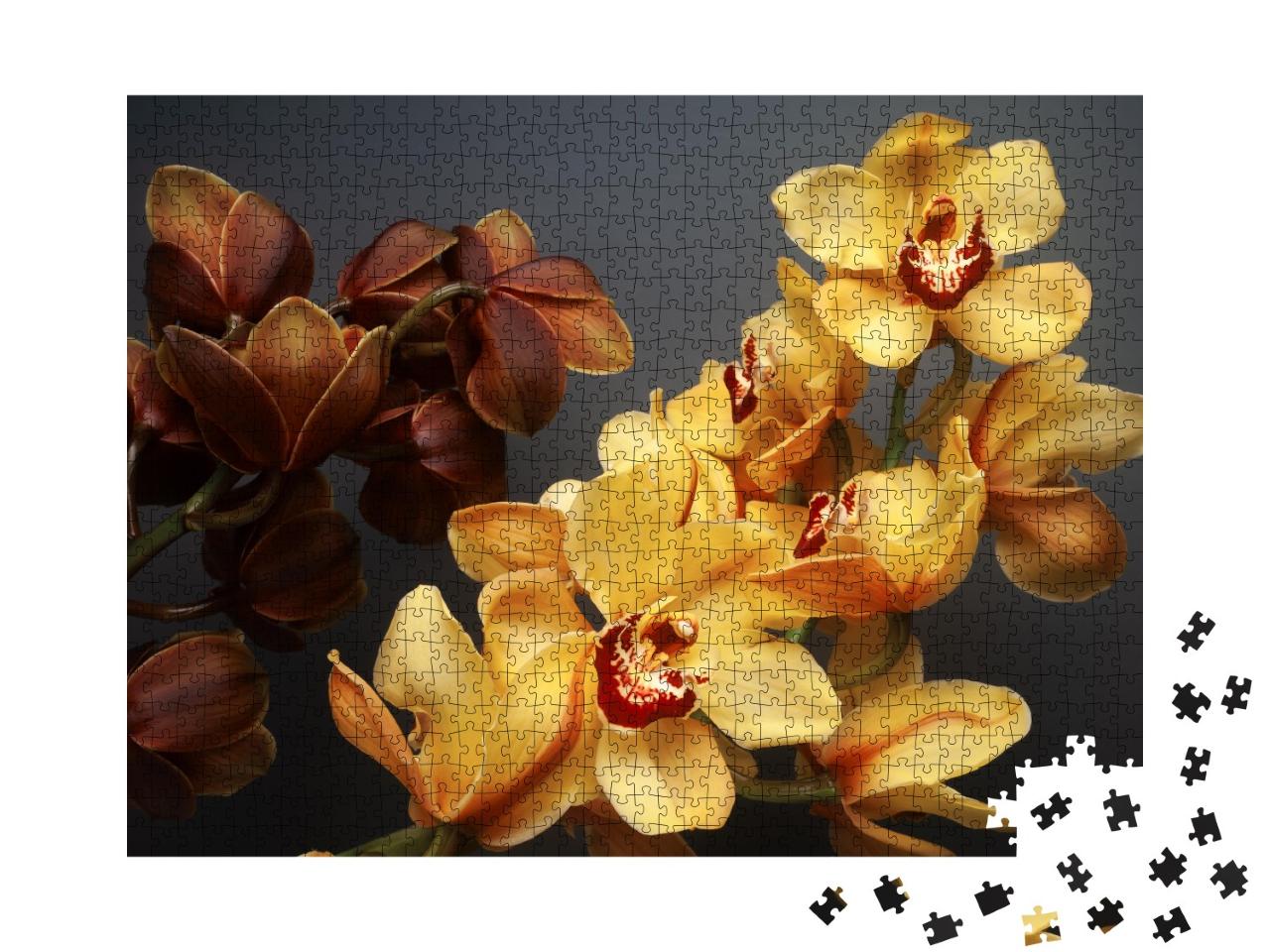 Puzzle de 1000 pièces « Magnifiques orchidées cymbidium jaunes et brunes »