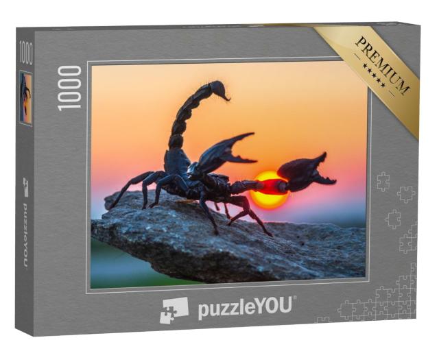 Puzzle de 1000 pièces « Le scorpion impérial »