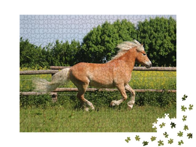 Puzzle de 1000 pièces « Magnifique cheval Haflinger au paddock »