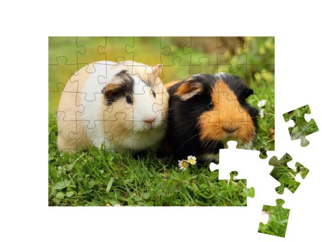 Puzzle de 48 pièces « Deux adorables cochons d'Inde »