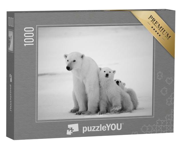 Puzzle de 1000 pièces « Ourse polaire avec ses petits »