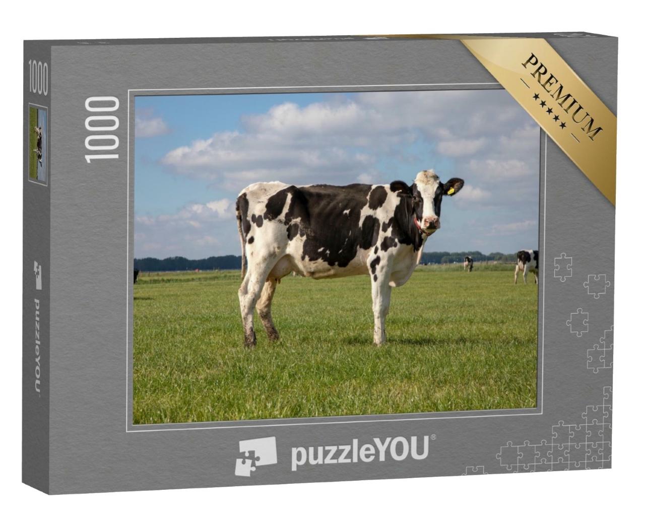 Puzzle de 1000 pièces « Holstein-Kun dans un pâturage aux Pays-Bas »