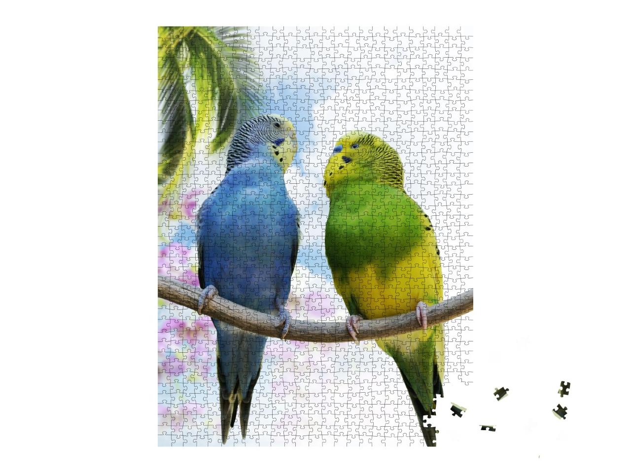 Puzzle de 1000 pièces « Deux perruches sur une branche »