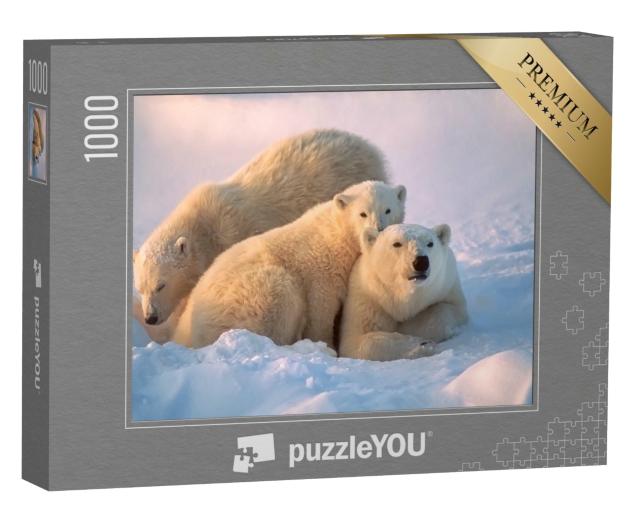 Puzzle de 1000 pièces « Ourse polaire avec ses petits »