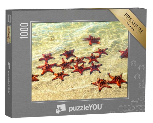 Puzzle de 1000 pièces « Étoiles de mer prenant un bain de soleil »