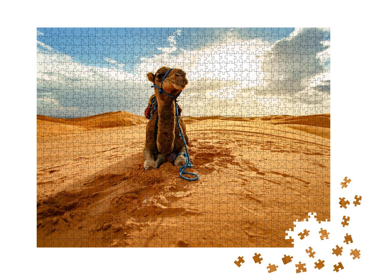 Puzzle de 1000 pièces « Chameau au repos dans le Sahara, Maroc »