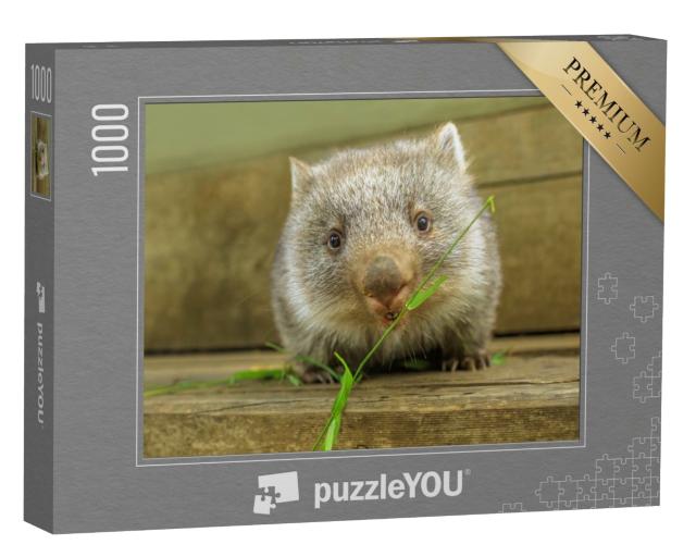 Puzzle de 1000 pièces « Adorable jeune wombat en train de se nourrir »