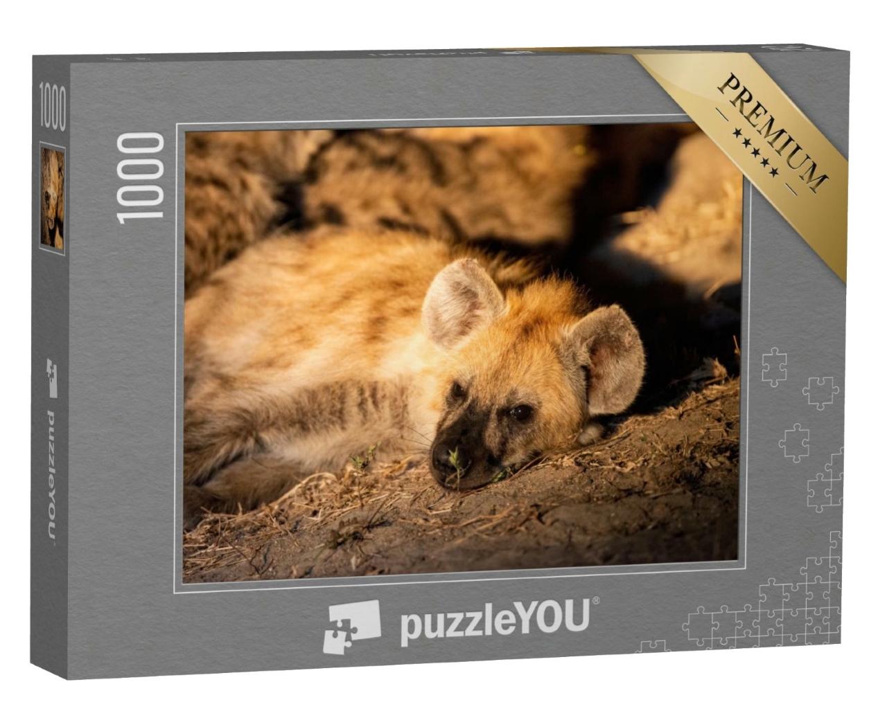 Puzzle de 1000 pièces « Gros plan sur une jeune hyène »