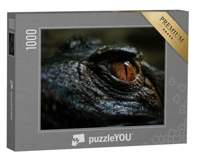 Puzzle de 1000 pièces « Détail de l'œil d'un petit crocodile sud-américain, Brésil »