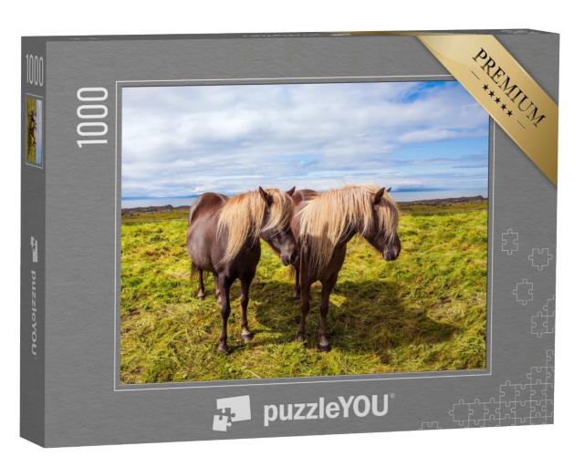 Puzzle de 1000 pièces « Chevaux islandais dans la toundra estivale d'Islande »
