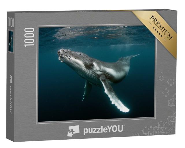 Puzzle de 1000 pièces « Veau de baleine à bosse »