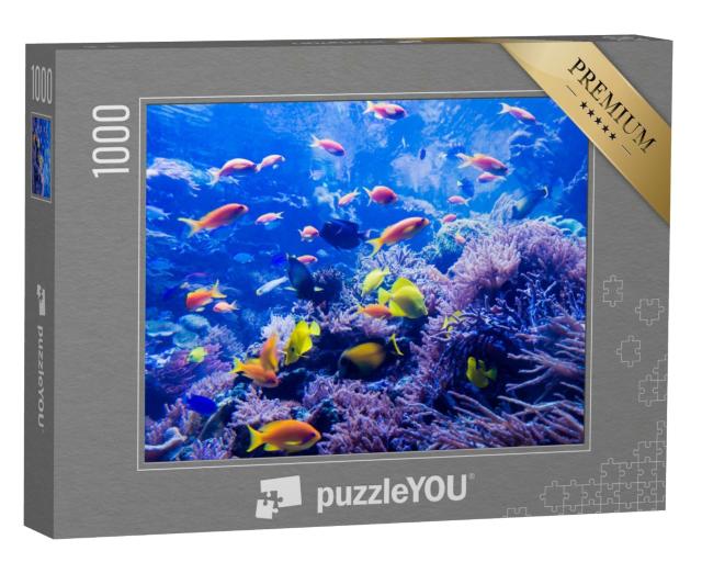 Puzzle de 1000 pièces « Un beau monde sous-marin »